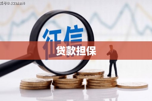延津贷款担保