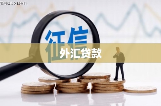 延津外汇贷款