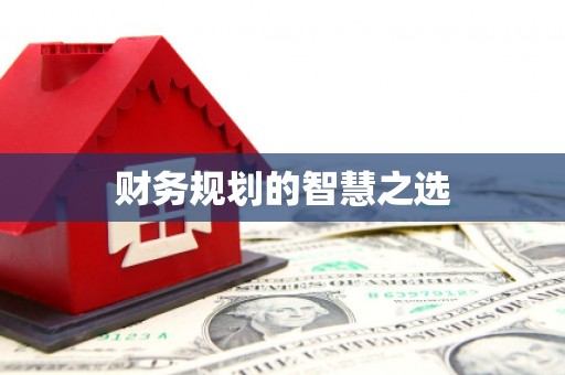 延津财务规划的智慧之选