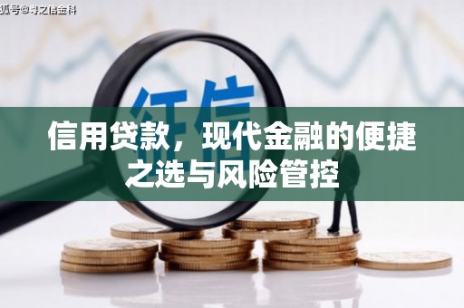 延津信用贷款，现代金融的便捷之选与风险管控