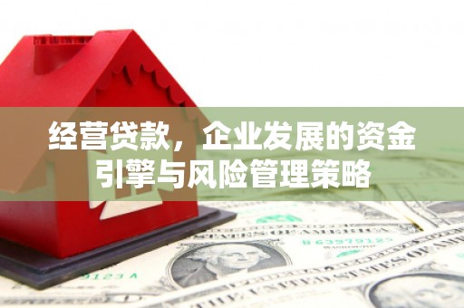 延津经营贷款，企业发展的资金引擎与风险管理策略