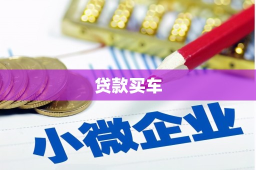 延津贷款买车