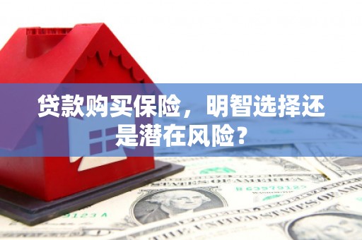 延津贷款购买保险，明智选择还是潜在风险？