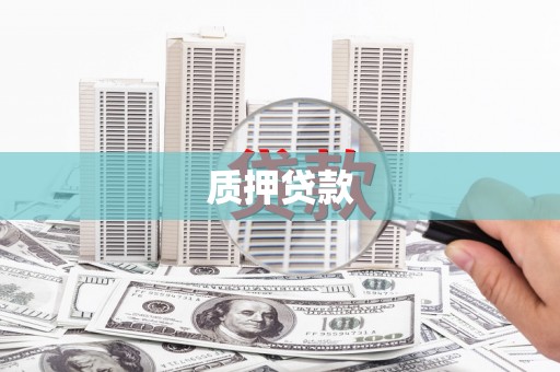 延津质押贷款