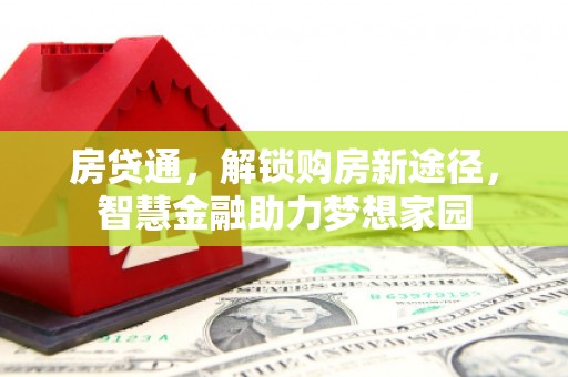 延津房贷通，解锁购房新途径，智慧金融助力梦想家园