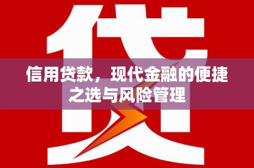 延津信用贷款，现代金融的便捷之选与风险管理