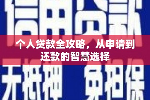 延津个人贷款全攻略，从申请到还款的智慧选择