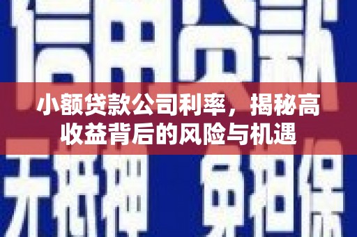 延津小额贷款公司利率，揭秘高收益背后的风险与机遇