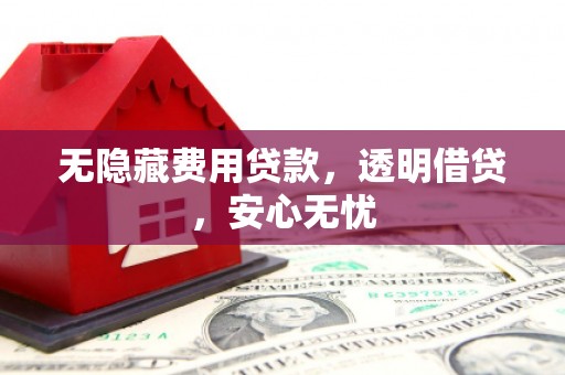 延津无隐藏费用贷款，透明借贷，安心无忧