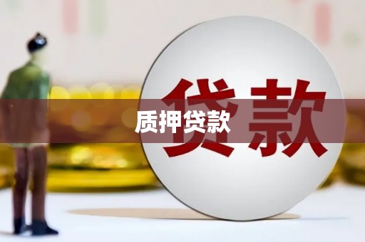延津质押贷款