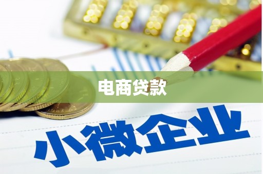 延津电商贷款