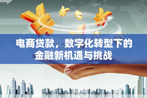 延津电商贷款，数字化转型下的金融新机遇与挑战