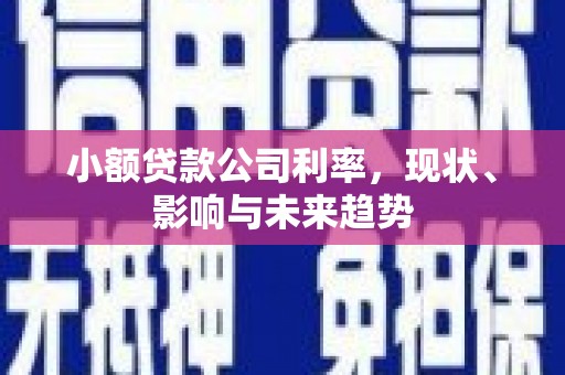 延津小额贷款公司利率，现状、影响与未来趋势