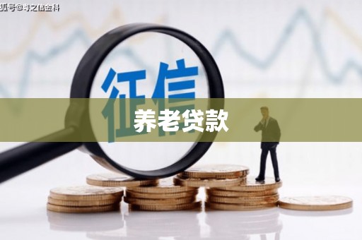 延津养老贷款