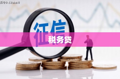 延津税务贷