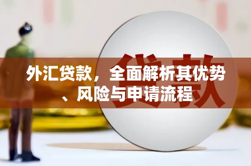 延津外汇贷款，全面解析其优势、风险与申请流程