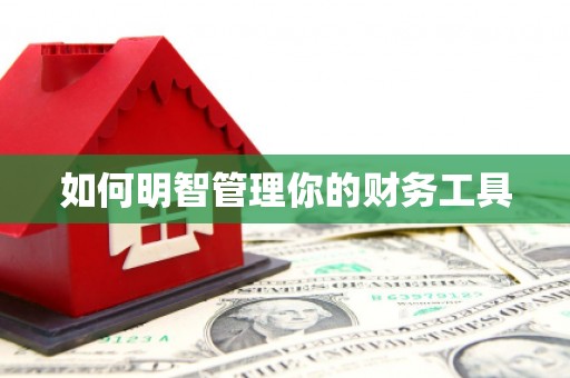 延津如何明智管理你的财务工具