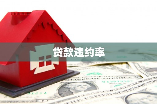 延津贷款违约率