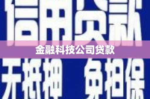 延津金融科技公司贷款