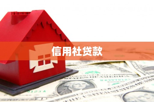 延津信用社贷款