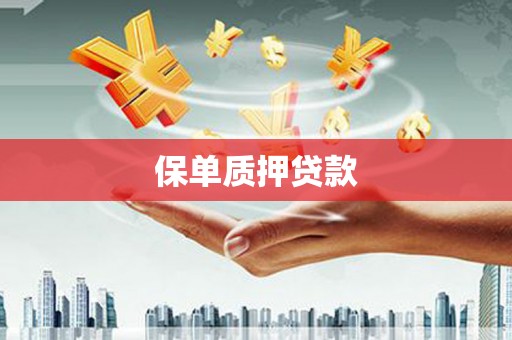 延津保单质押贷款