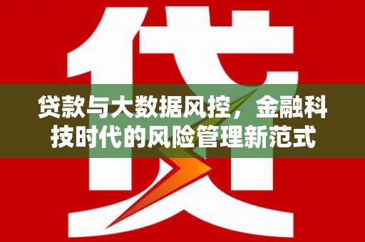 延津贷款与大数据风控，金融科技时代的风险管理新范式