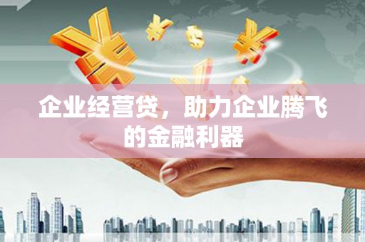 延津企业经营贷，助力企业腾飞的金融利器