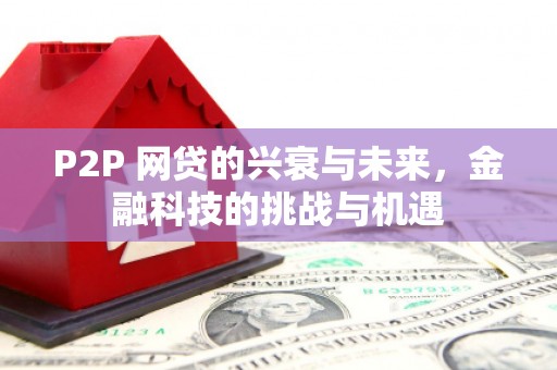 延津P2P 网贷的兴衰与未来，金融科技的挑战与机遇