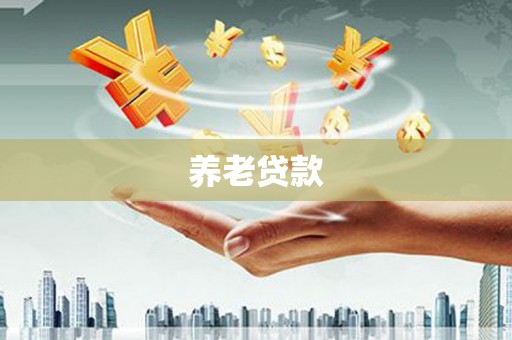 延津养老贷款