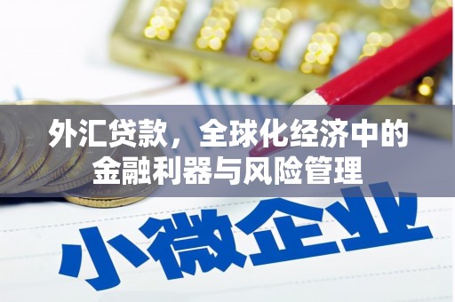 延津外汇贷款，全球化经济中的金融利器与风险管理