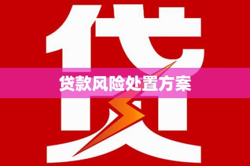 延津贷款风险处置方案