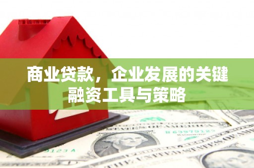 延津商业贷款，企业发展的关键融资工具与策略