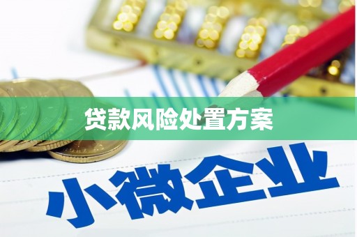 延津贷款风险处置方案