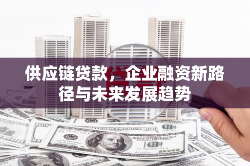 延津供应链贷款，企业融资新路径与未来发展趋势
