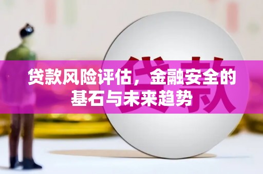 延津贷款风险评估，金融安全的基石与未来趋势