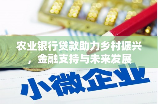 延津农业银行贷款助力乡村振兴，金融支持与未来发展