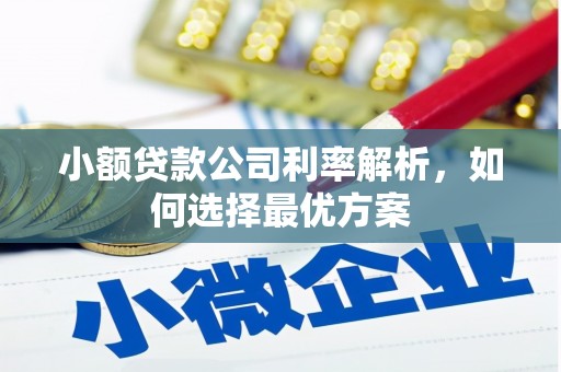 延津小额贷款公司利率解析，如何选择最优方案