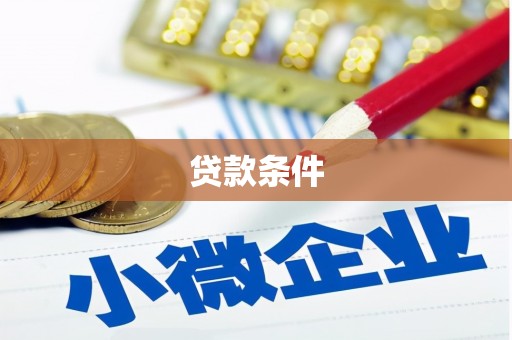 延津贷款条件