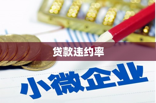 延津贷款违约率