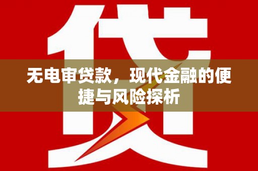 延津无电审贷款，现代金融的便捷与风险探析