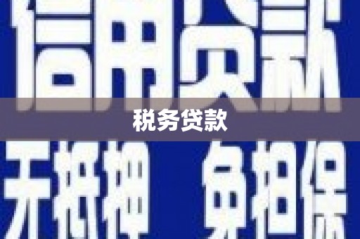 延津税务贷款