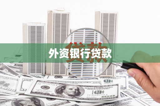 延津外资银行贷款