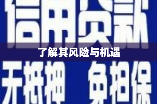 延津了解其风险与机遇