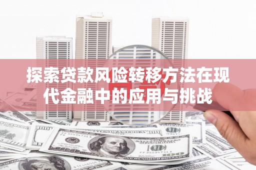 延津探索贷款风险转移方法在现代金融中的应用与挑战