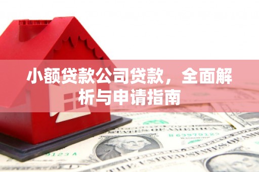 延津小额贷款公司贷款，全面解析与申请指南