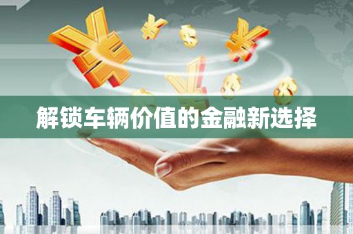 延津解锁车辆价值的金融新选择