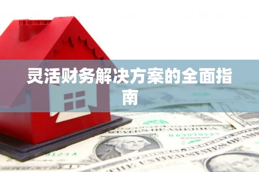 延津灵活财务解决方案的全面指南