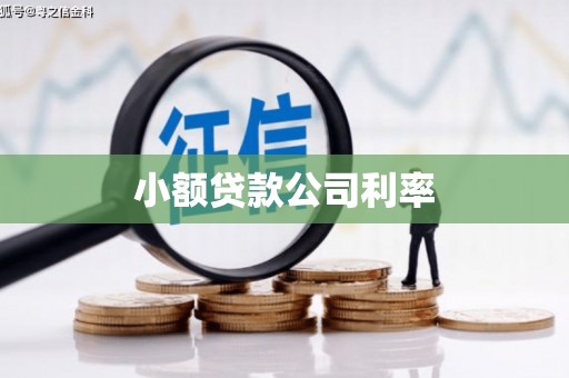 延津小额贷款公司利率