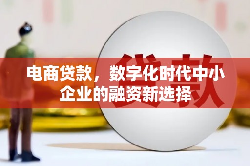 延津电商贷款，数字化时代中小企业的融资新选择