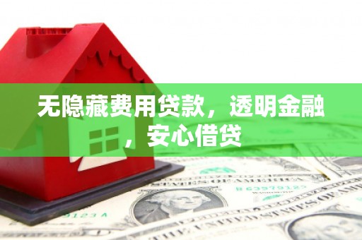 延津无隐藏费用贷款，透明金融，安心借贷
